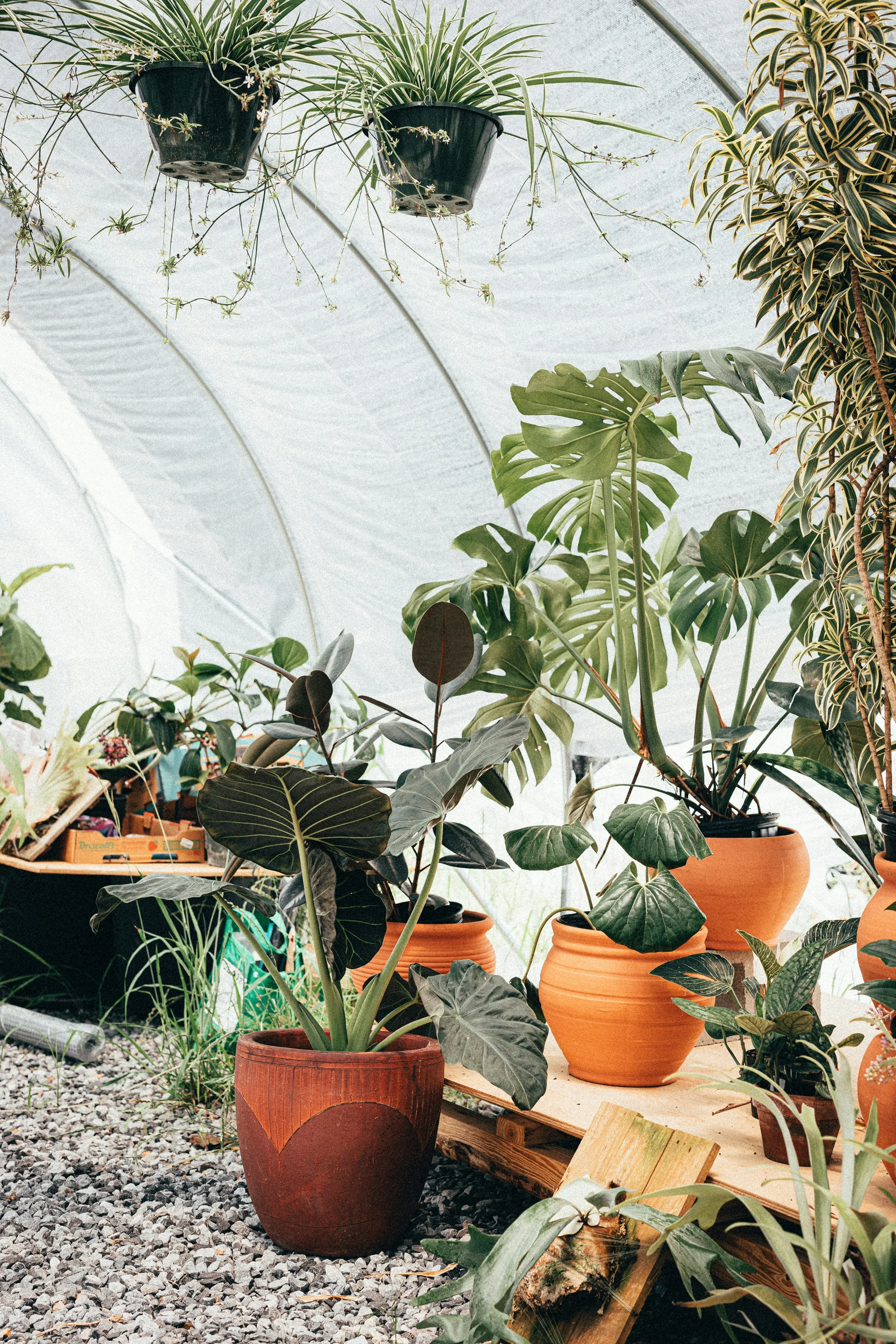 Beratung in der Baumschule